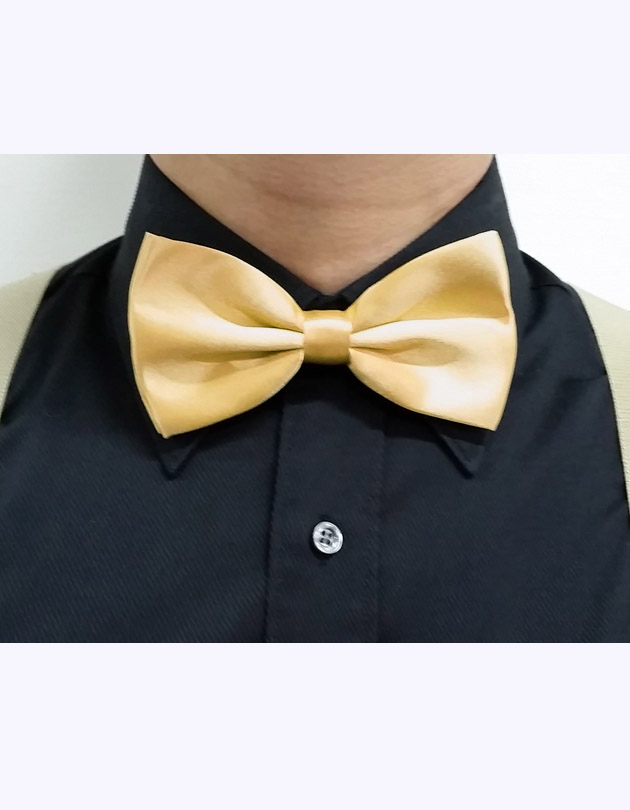 Bow Tie in Gold
